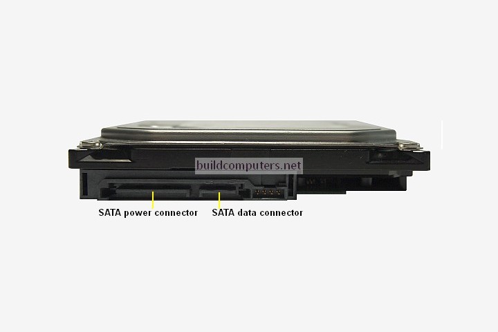 Hard Drive SATA Connectors